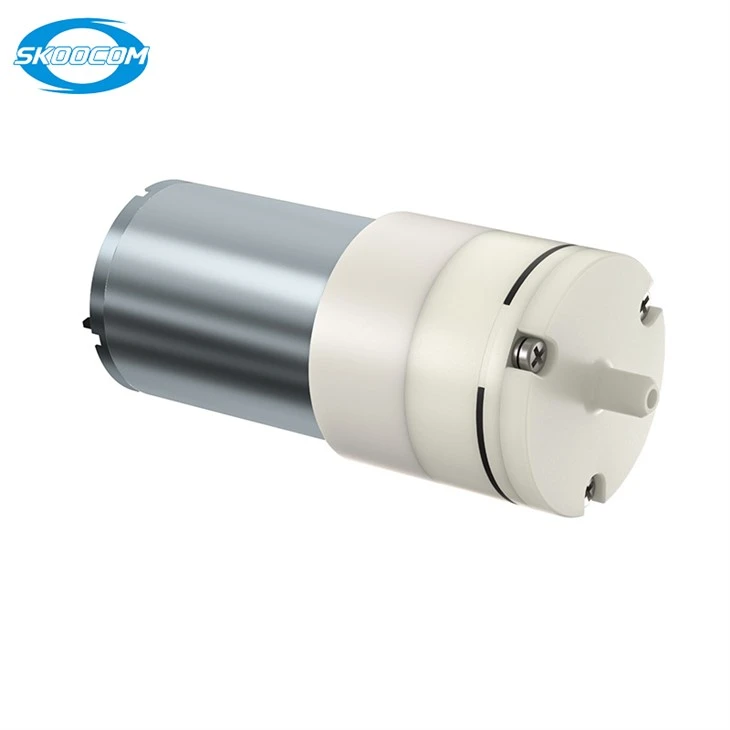 Pam udara mikro 12V