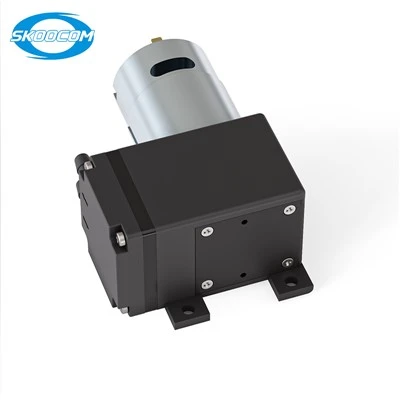 Vacuum Pump Breast Pump Dc6v Dc12v Dc 24v Gas Air Vacuum Pump Breast Pump Dc6v Dc12v Dc 24v Gas Air